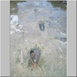 100_1344(07-30-2009p) mod.JPG